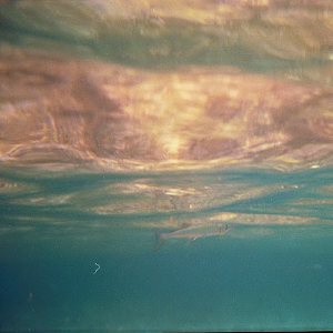 /Albums/15/Pr00001063837