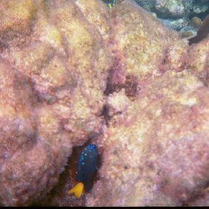 /Albums/15/Pr00001063843