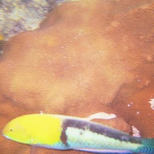 /Albums/15/Pr00001063846