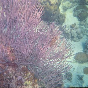 /Albums/15/Pr00001063847