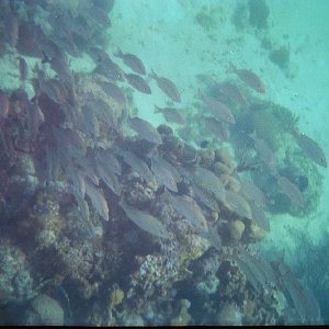 /Albums/15/Pr00001063848