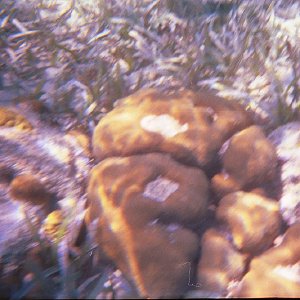 /Albums/15/Pr00001063899