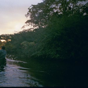 /Albums/16/Pr00001063909