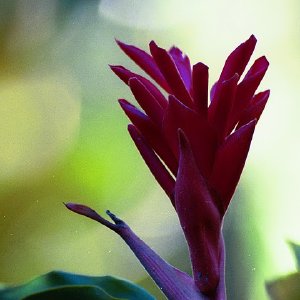 /Albums/16/Pr000010639103