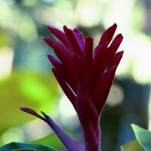 /Albums/16/Pr000010639104