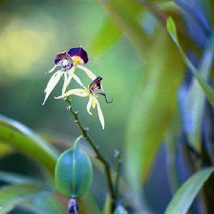 /Albums/16/Pr000010639109