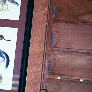 /Albums/16/Pr000010639114