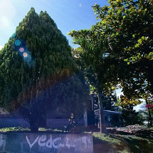 /Albums/16/Pr000010639129