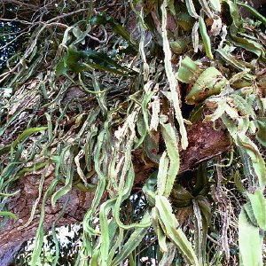 /Albums/16/Pr000010639131