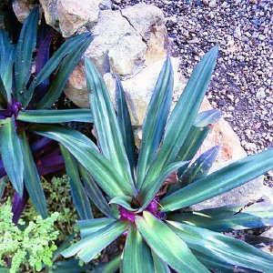 /Albums/16/Pr000010639135