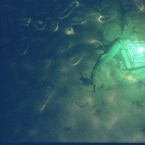 /Albums/16/Pr00001063913