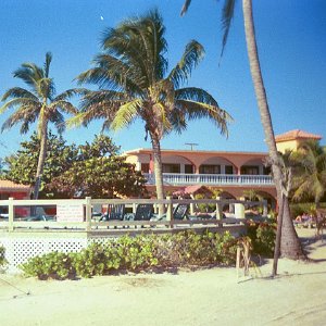 /Albums/16/Pr00001063919