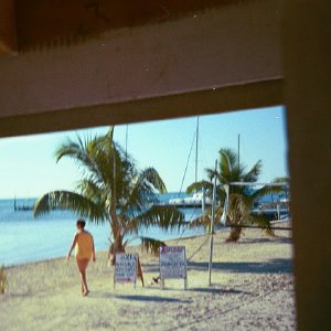 /Albums/16/Pr00001063921