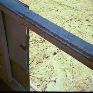 /Albums/16/Pr00001063922