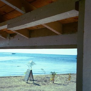 /Albums/16/Pr00001063923