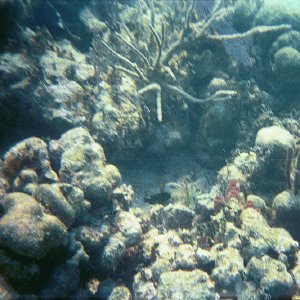 /Albums/16/Pr00001063927