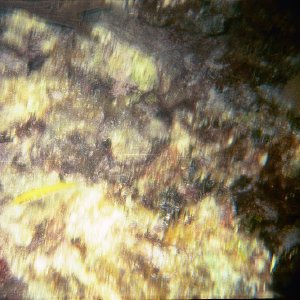 /Albums/16/Pr00001063928