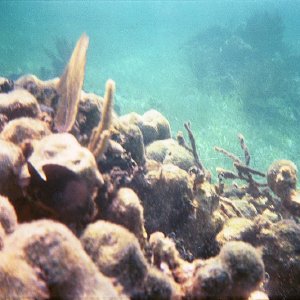 /Albums/16/Pr00001063934