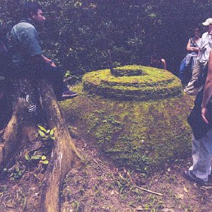 /Albums/17/Pr00001063887