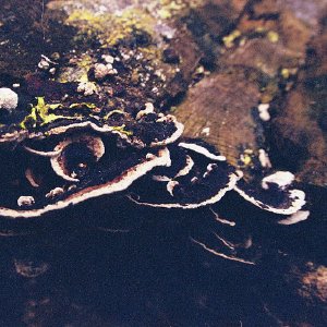 /Albums/17/Pr00001063889