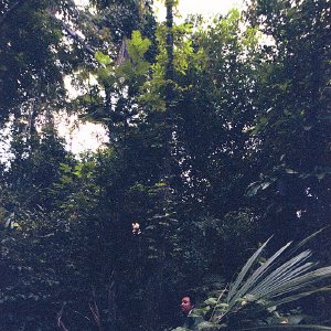 /Albums/17/Pr00001063892