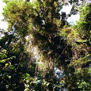 /Albums/17/Pr00001063893