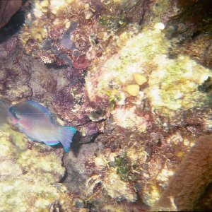 /Albums/17/Pr00001063938