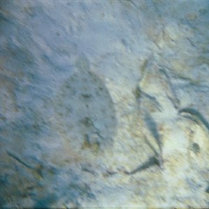 /Albums/17/Pr00001063942