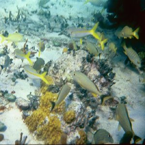 /Albums/17/Pr00001063944