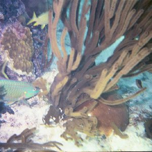 /Albums/17/Pr00001063945