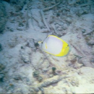 /Albums/17/Pr00001063947