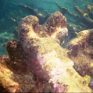 /Albums/17/Pr00001063950