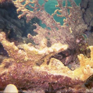 /Albums/17/Pr00001063952