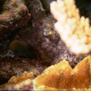 /Albums/17/Pr00001063953