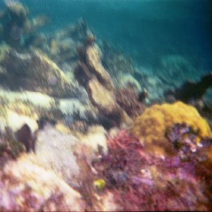 /Albums/17/Pr00001063954