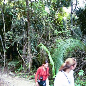 /Albums/17/Pr00001063967