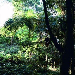 /Albums/17/Pr00001063968