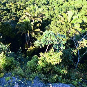 /Albums/17/Pr00001063976