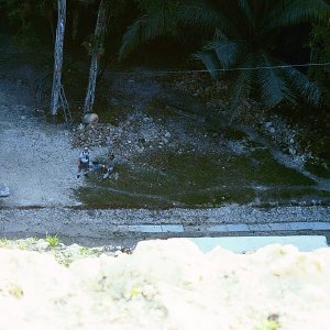 /Albums/17/Pr00001063980