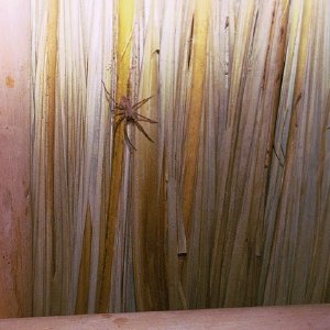 /Albums/18/Pr03921052204