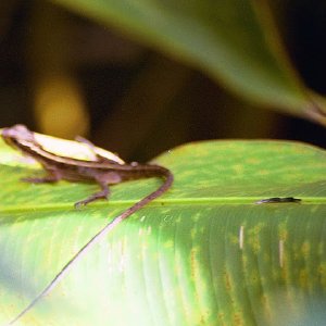 /Albums/18/Pr03921052206