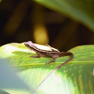 /Albums/18/Pr03921052207