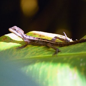 /Albums/18/Pr03921052208