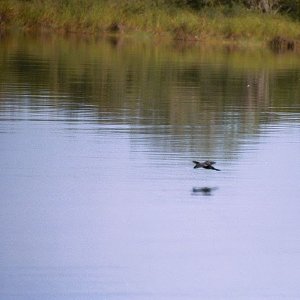 /Albums/18/Pr03921052210