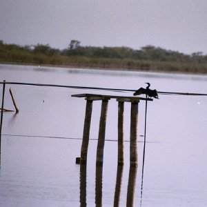 /Albums/18/Pr03921052212