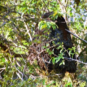 /Albums/18/Pr039210522143