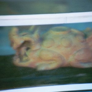 /Albums/18/Pr03921052221