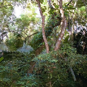 /Albums/18/Pr03921052224