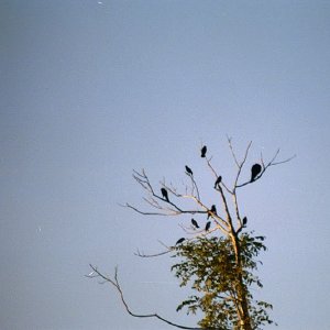 /Albums/18/Pr03921052241