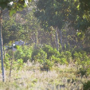 /Albums/18/Pr03921052243